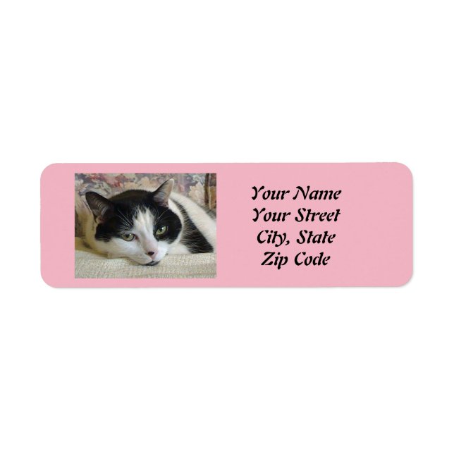 Tuxedo Cat Return Address Labels (Front)