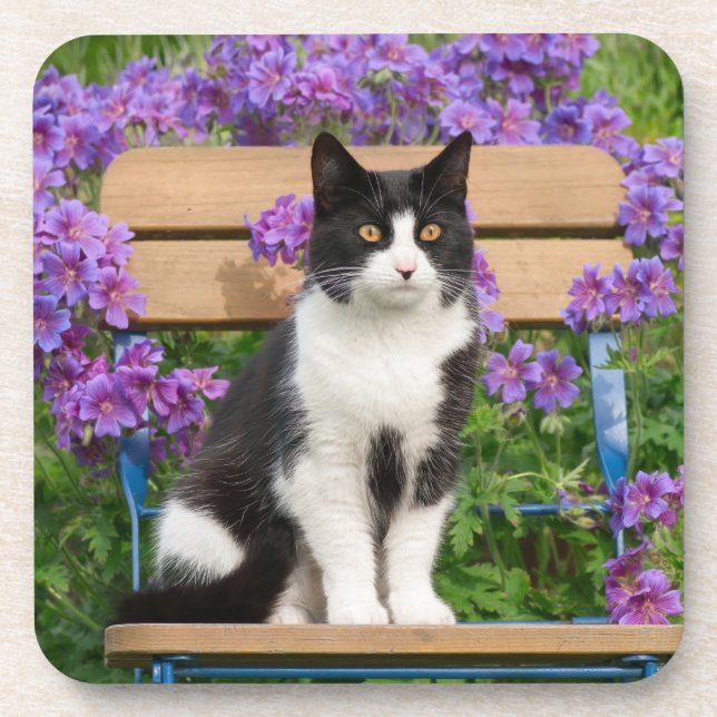 Tuxedo cat sitting on a garden chair with flowers coaster (Front)