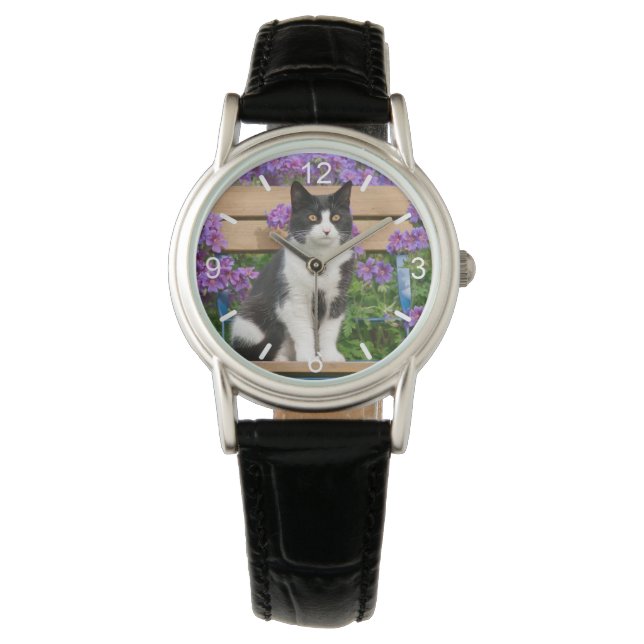 Tuxedo cat sitting on a garden chair with flowers  watch (Front)