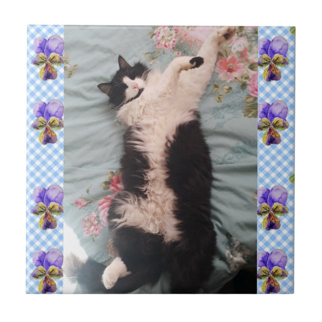 Tuxedo Cat Sleeping Funny Cats Happy Dance Tile (Front)