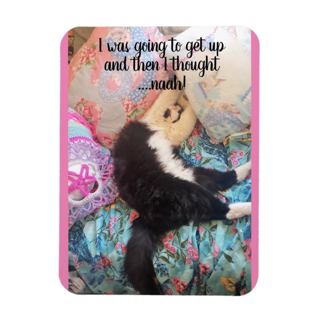 Tuxedo Cat Sleeping Funny Saying cats Magnet (Vertical)