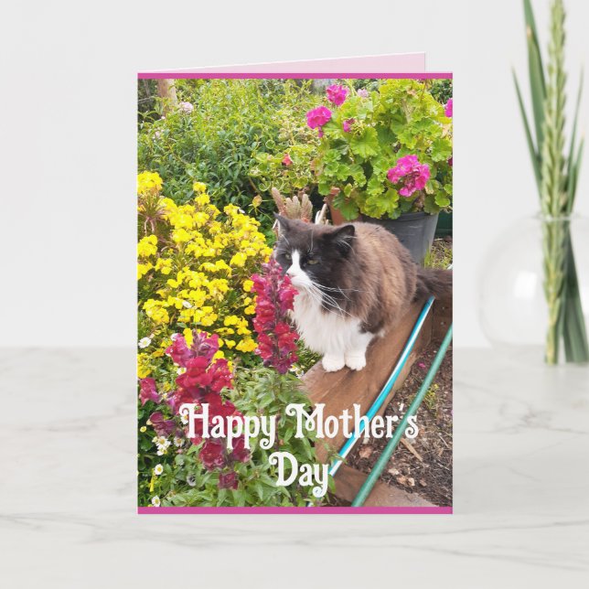 Tuxedo Cat Sniffing Flowers Funny Mothers Day Card (Front)