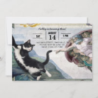 Tuxedo Cat Touching the Divine Paw
