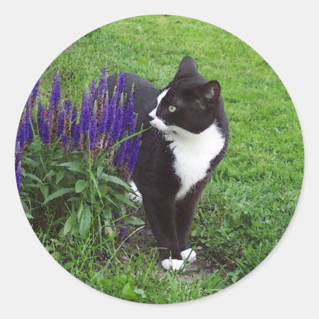 Tuxedo cat watercolor classic round sticker (Front)