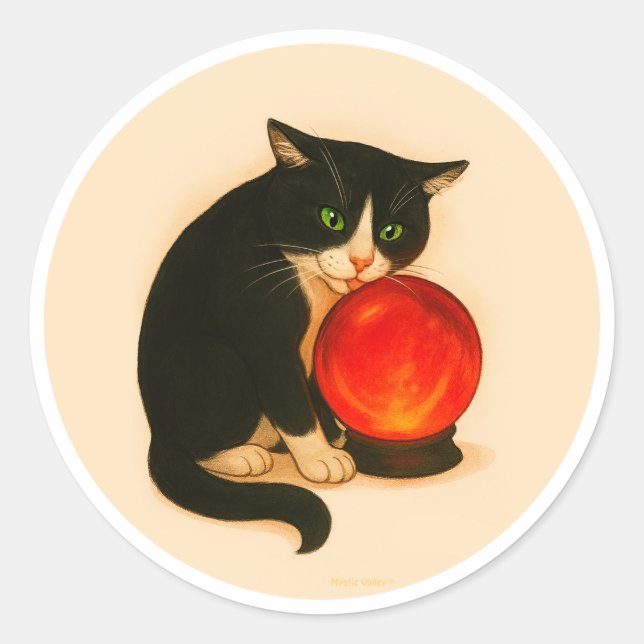 Tuxedo cat with red crystal ball classic round sticker (Front)