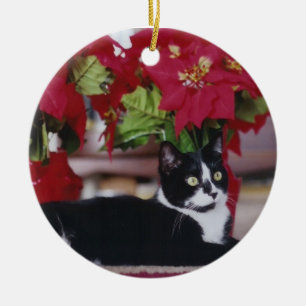 Tuxedo Christmas Cat Ceramic Tree Decoration