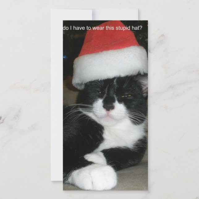 Tuxedo Christmas Holiday Card (Front)