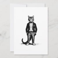 Tuxedo Classy Cat