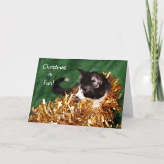 Tuxedo kitten Christmas Holiday Card