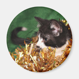 Tuxedo kitten Christmas Magnet