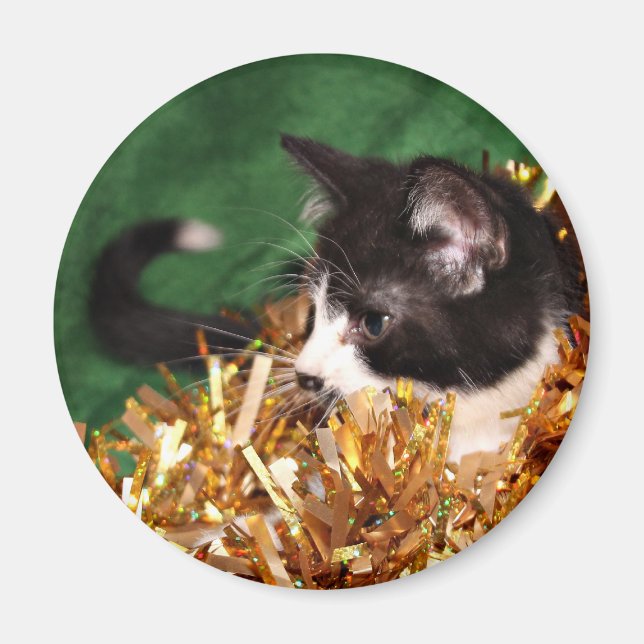Tuxedo kitten Christmas Magnet (Front)
