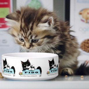 Tuxedo Kitten Dog's Bowl