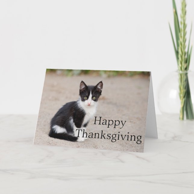 Tuxedo Kitten :: Happy Thanksgiving Greeting Card (Front)