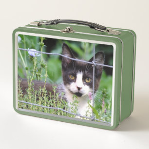 Tuxedo Kitten Lunchbox