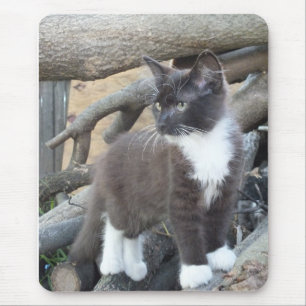 Tuxedo Kitten Mouse Mat