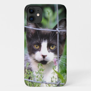 Tuxedo Kitten n the Garden iPhone 11 Case