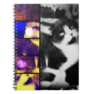 Tuxedo Kitten Photo Art Notebook