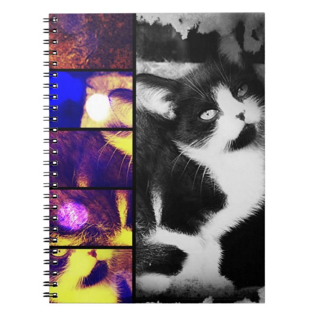 Tuxedo Kitten Photo Art Notebook (Front)