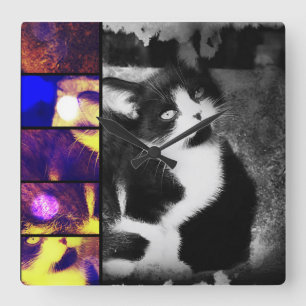 Tuxedo Kitten Photo Art Wall Clock