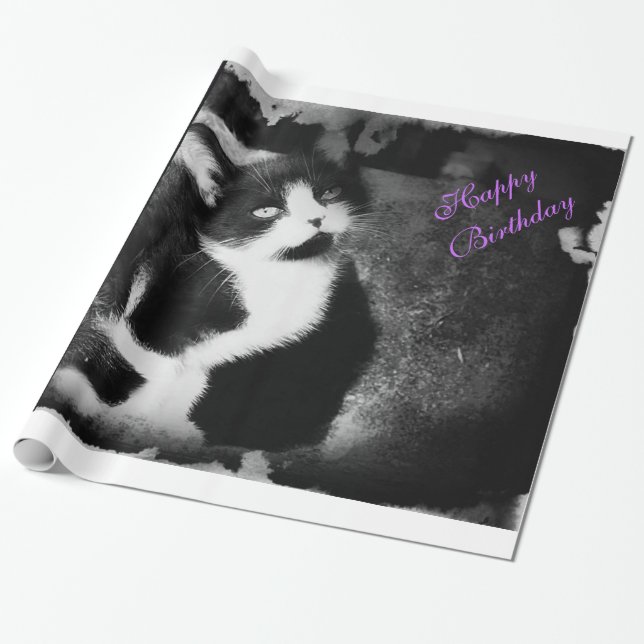 Tuxedo Kitten Photo Art Wrapping Paper *Birthday* (Unrolled)