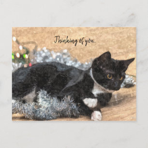 Tuxedo Kitten Tinsel and Lights Thinking Of You Postcard