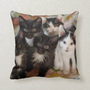 Tuxedo Kittens Cushion