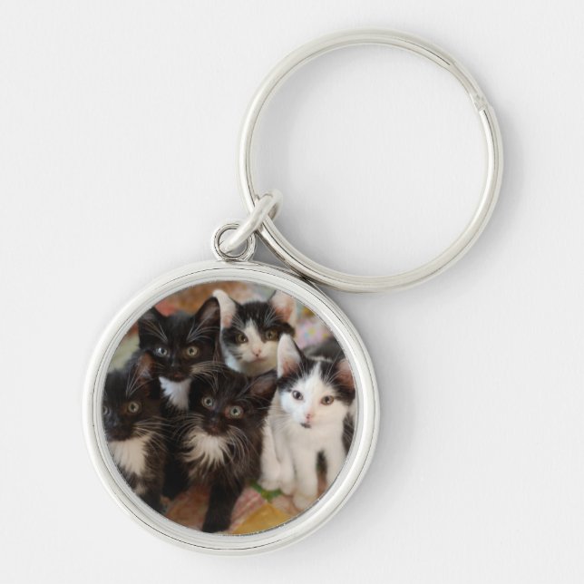 Tuxedo Kittens Key Ring (Front)