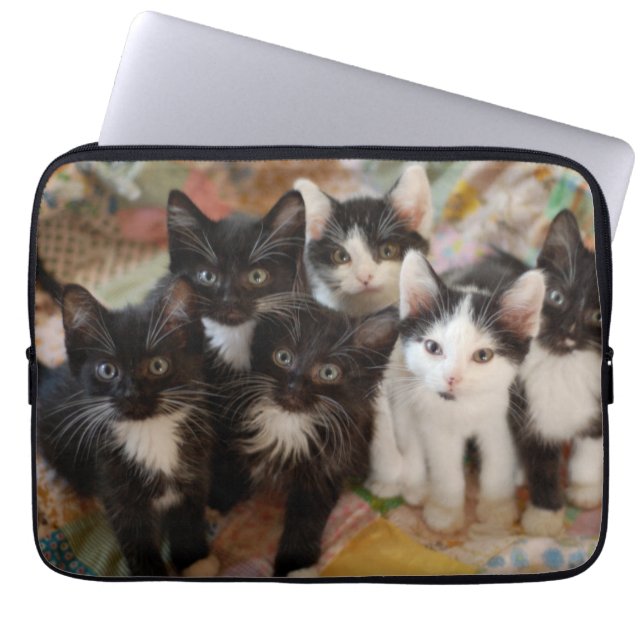 Tuxedo Kittens Laptop Sleeve (Front)