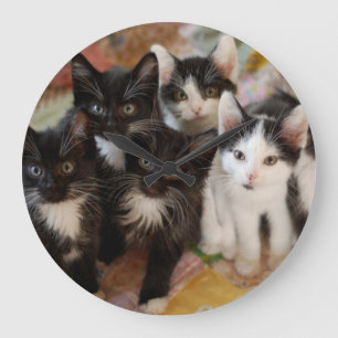 Tuxedo Kittens Large Clock