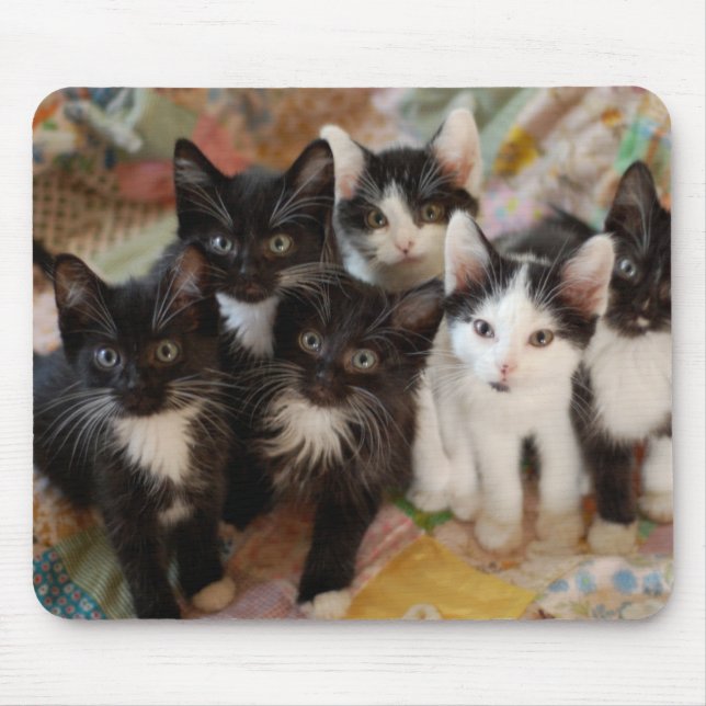Tuxedo Kittens Mouse Mat (Front)