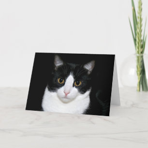 Tuxedo kitty card