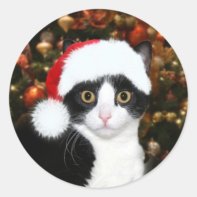 Tuxedo kitty cat Christmas Classic Round Sticker (Front)