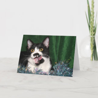 Tuxedo kitty Christmas Holiday Card