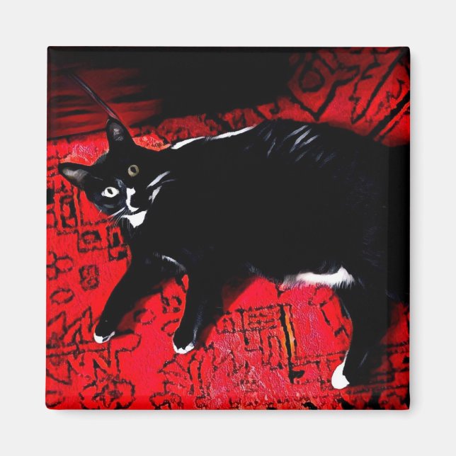 Tuxedo Kitty on Red Rug magnet (Front)