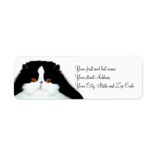 Tuxedo persian cat face