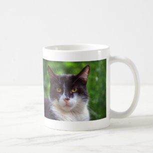 Tuxedo Portrait Coffee Mug