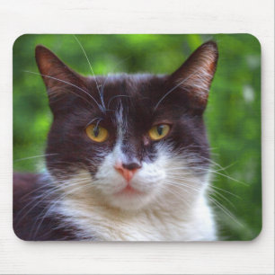 Tuxedo Portrait Mouse Mat