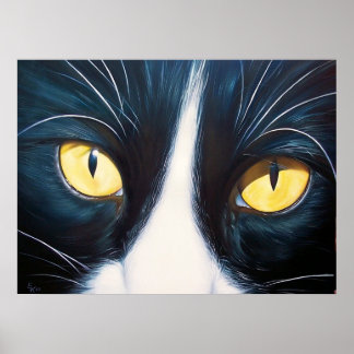 tuxedo poster