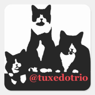 TuxedoTrio Square Square Sticker
