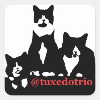 TuxedoTrio Square Sticker