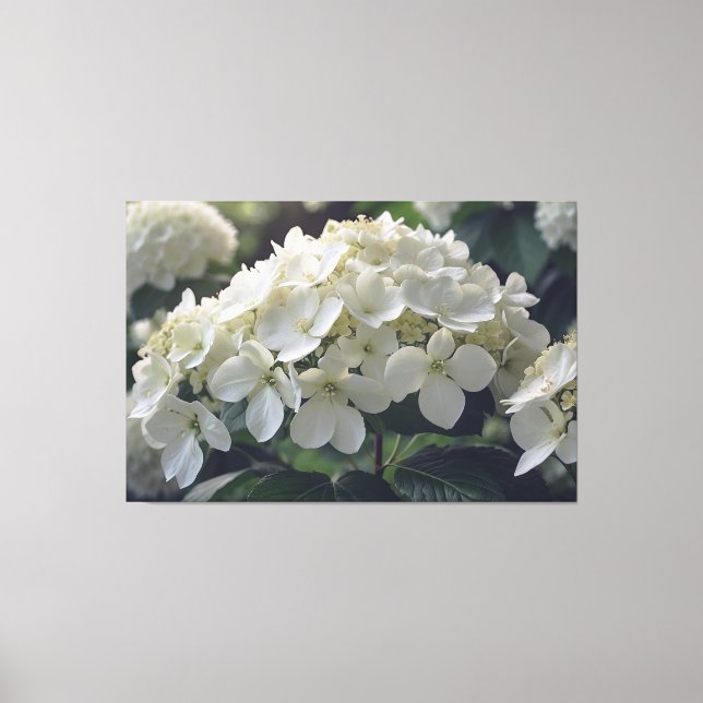 *~*  TV2 Soft Hydrangea Stretched Canvas Print (Front)