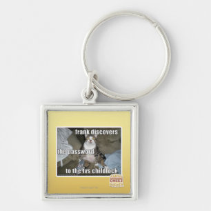 TV Childlock Key Ring
