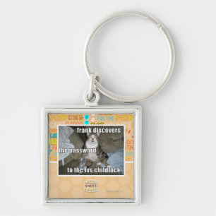 TV Childlock Key Ring