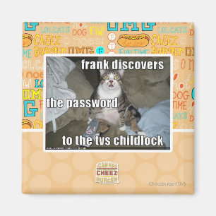 TV Childlock Magnet