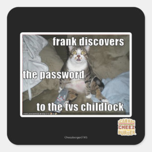 TV Childlock Square Sticker
