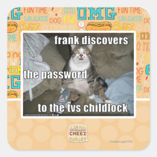TV Childlock Square Sticker