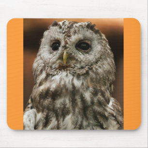 Twany Owl Mouse Mat
