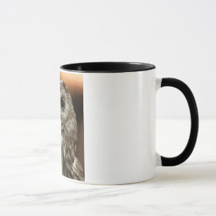 Twany Owl Mug