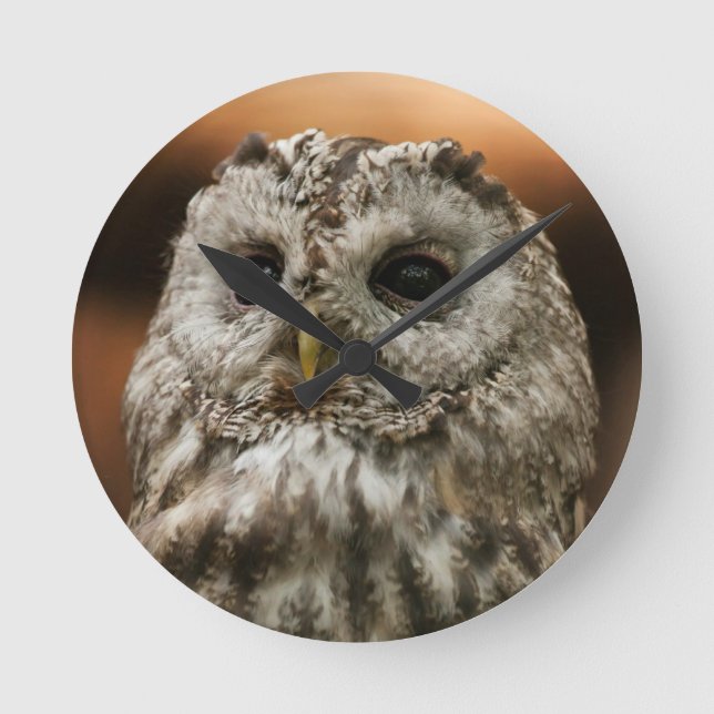 Twany Owl Round Clock (Front)