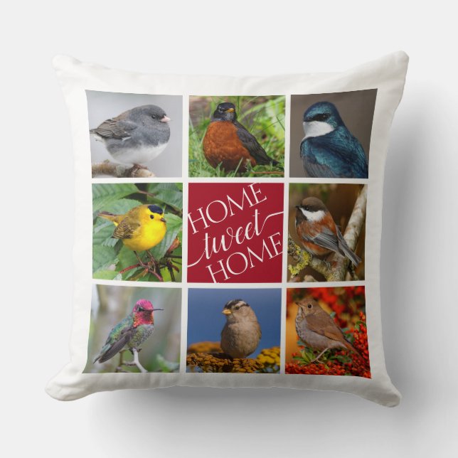 Tweet Home 8 American Songbirds 8 Photo Collage Cushion (Front)